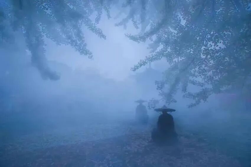 文章标题-27 生生世世的轮回;就是让生命迈向「净化」和「进化」的过程!