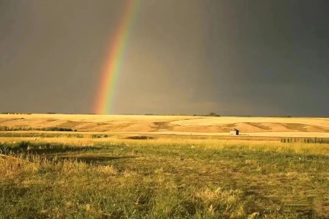 文章标题-3 当一个人内核强大,为人处事便自带 “凉薄”