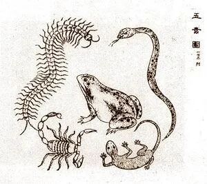 文章标题-8 一年一端午,一岁一安康;端午安康 福寿绵长