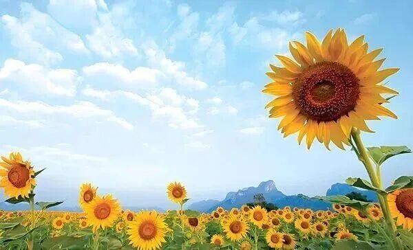 文章标题-1 运气差?试试这8个玄学小方法,好运自动来