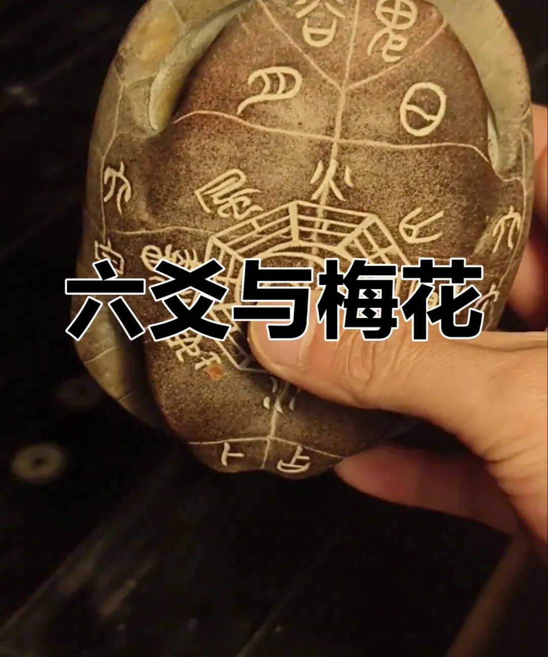 文章标题-1 梅起爻断:六爻与梅易融合的创新之路