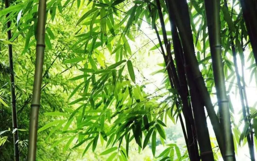 文章标题-1 婚姻的底层逻辑:好好赚钱,才有底气