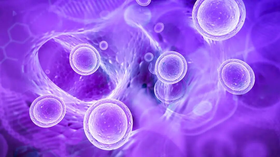 一个泄露天机的人体细胞的告白