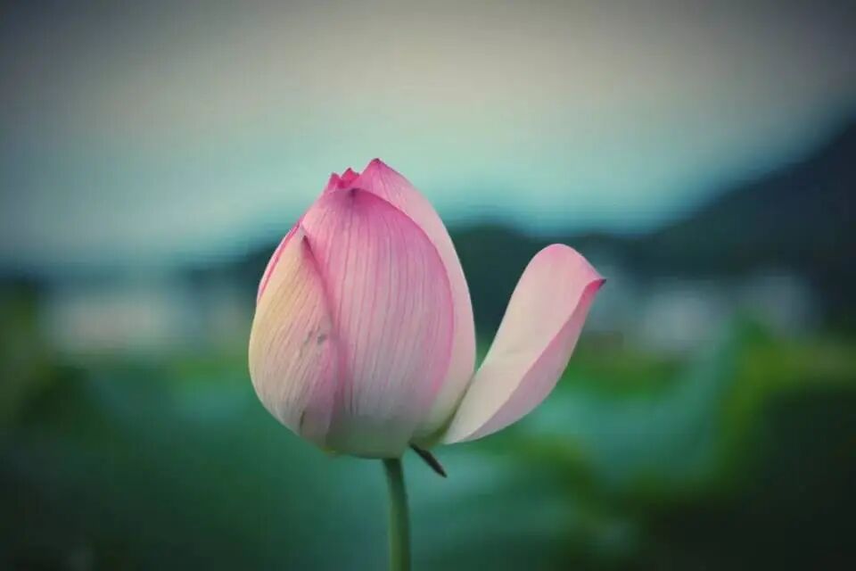 男人的脾气=事业的高度，女人的脾气=婚姻的温度，7招修出好人生