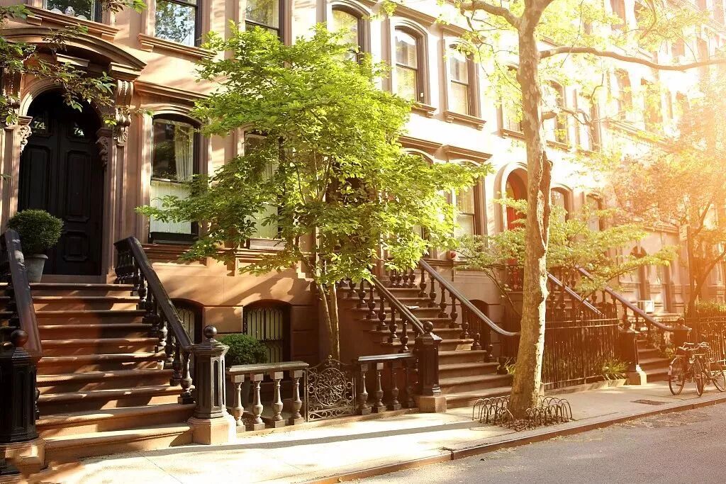 10句风水老话，桑皂杜梨槐，不入阴阳宅！