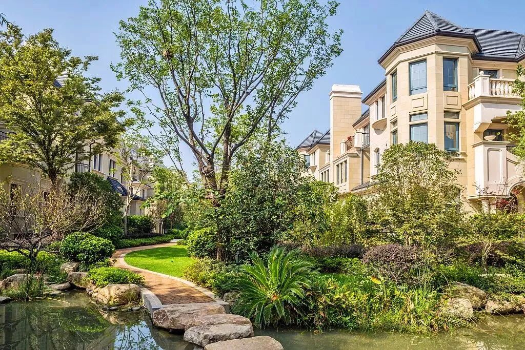 10句风水老话，桑皂杜梨槐，不入阴阳宅！