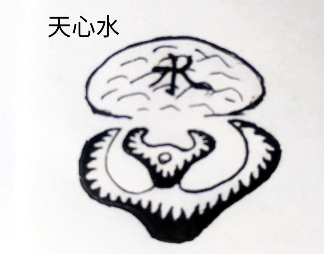 发财最猛的祖坟风水