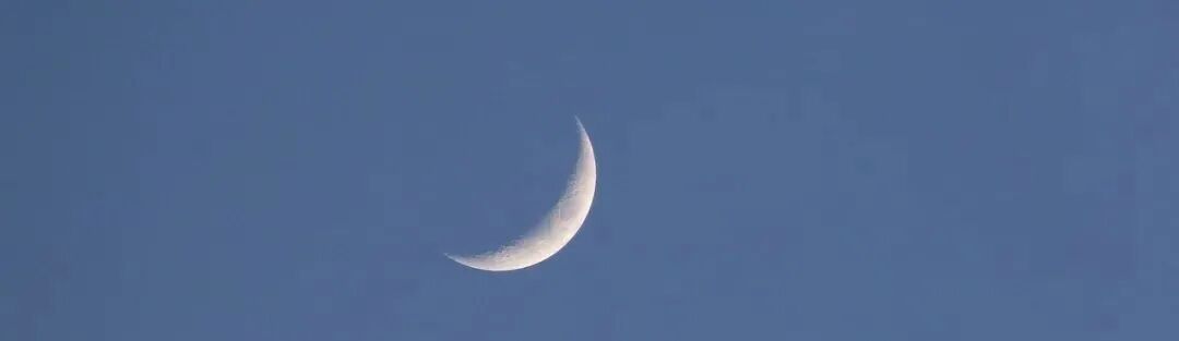 为什么要在初一、十五吃素，答案令人吃惊！