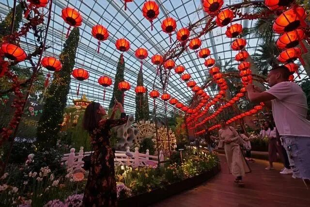 常驻岁月：在新加坡的日子