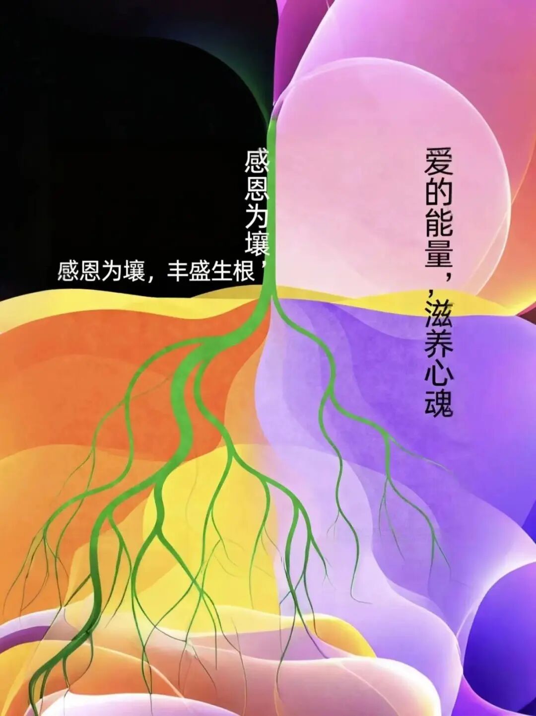 感恩：是你与宇宙、天地、高我的最强能量“金线”！