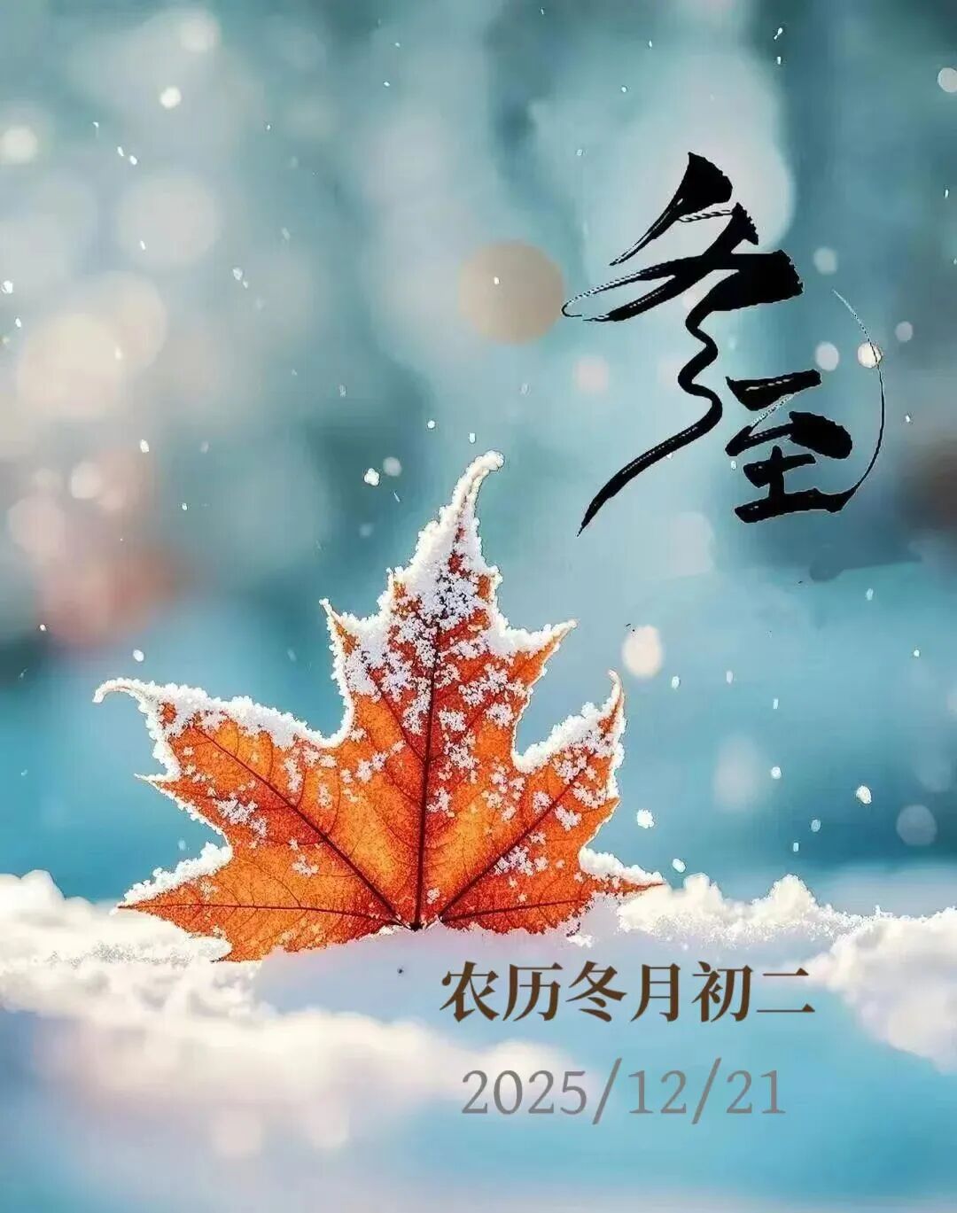 今日冬至；倪师的养生禁忌和改运秘法（建议收藏）