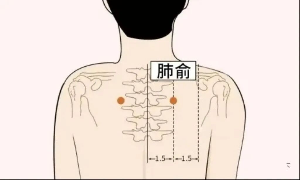 今日冬至；倪师的养生禁忌和改运秘法（建议收藏）