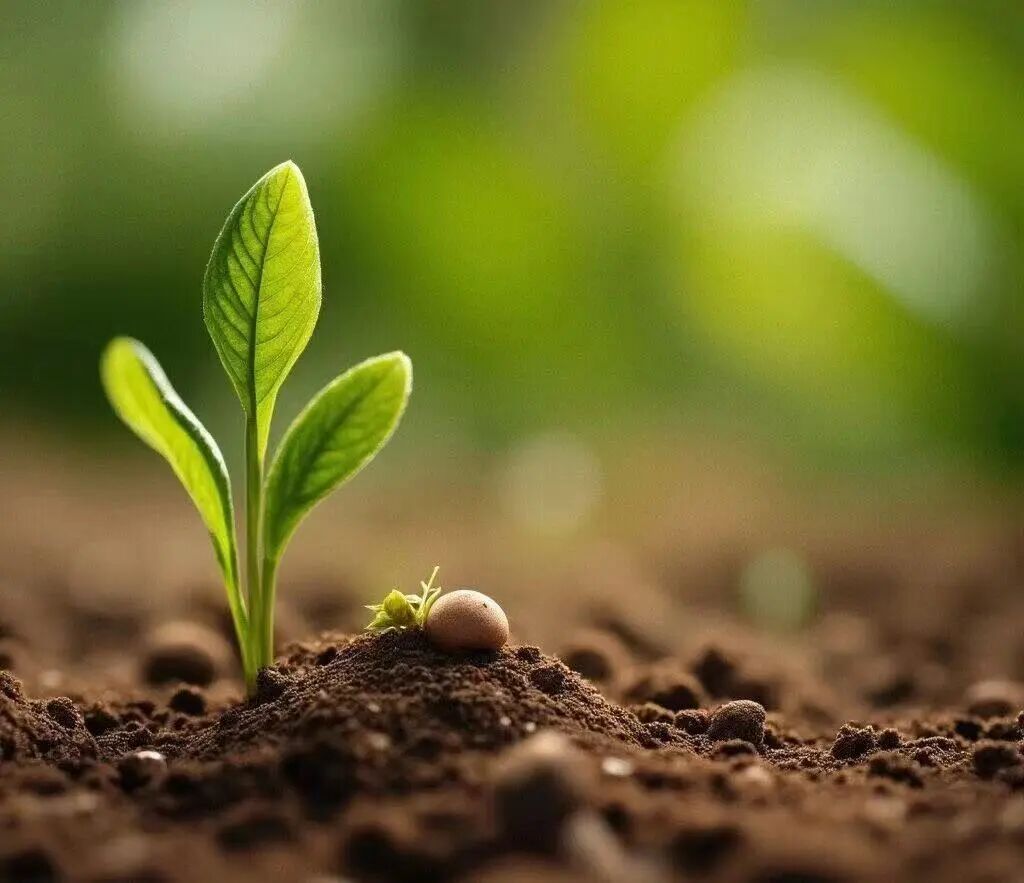 当火运之年叩门：我们需要懂得 “火” 不是躲避，而是归来