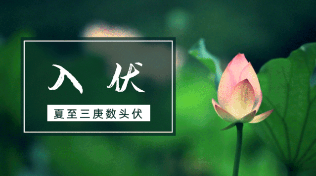 三伏时间表来了！最易生病的30天，不论男女，都要照顾好自己！