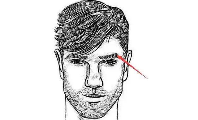 权贵的把握者，眉骨带金凸！