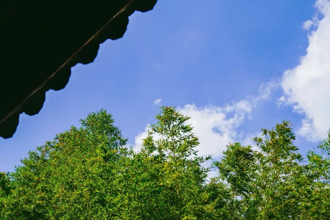 《道藏》中的洞真，洞玄，洞神都是什么意思？（收藏分类体系）