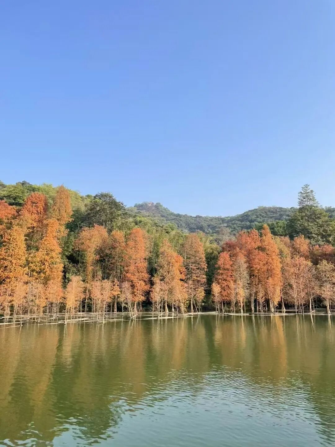 风水小常识：非常简单的十个风水原则，人人能懂能用！