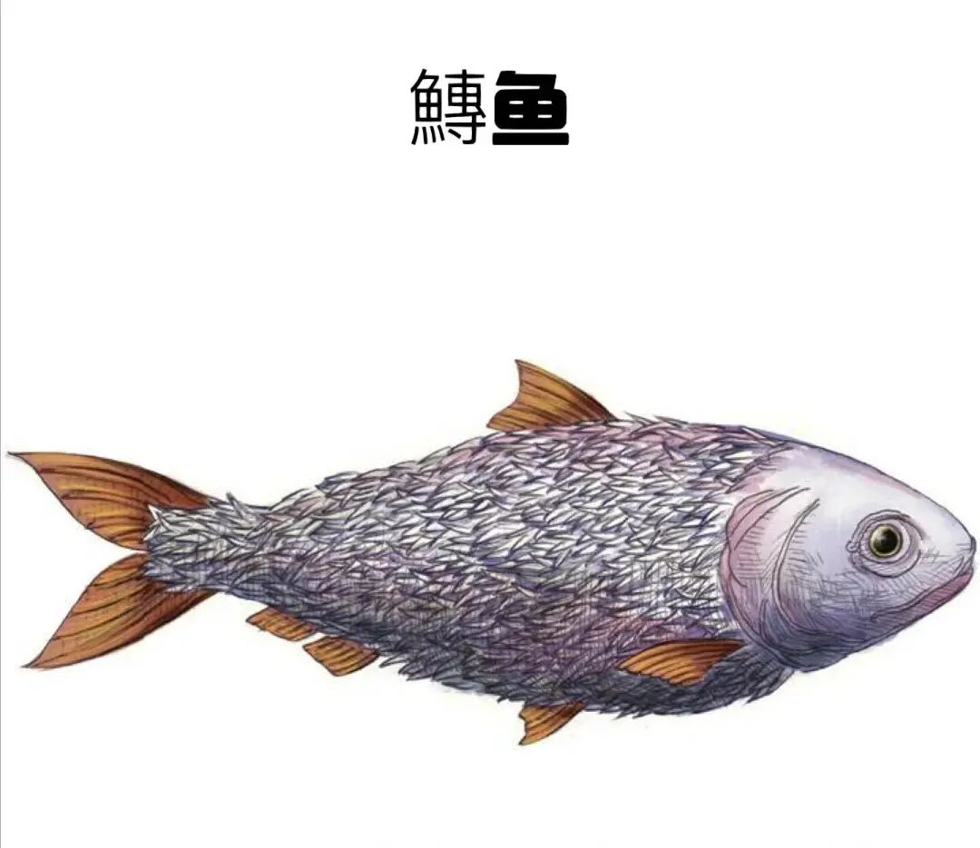 文章标题-9 最可怕的不是虞朝,而是万一我国上古神话都是真实的呢?