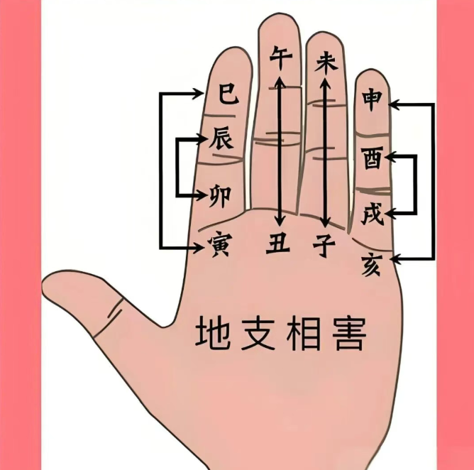 十二地支掌诀图