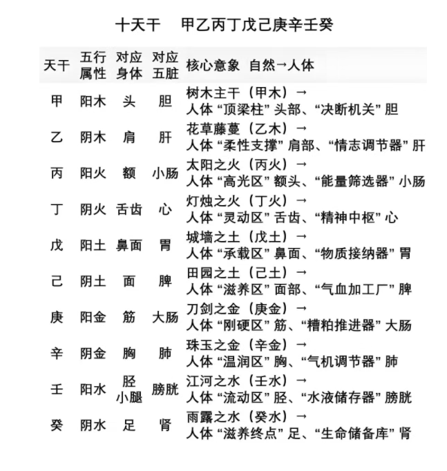 文章标题-1 十天干基础知识核心知识点