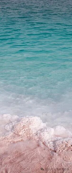 太极·体用·反观：<渔樵问对>中的宇宙与人生智慧