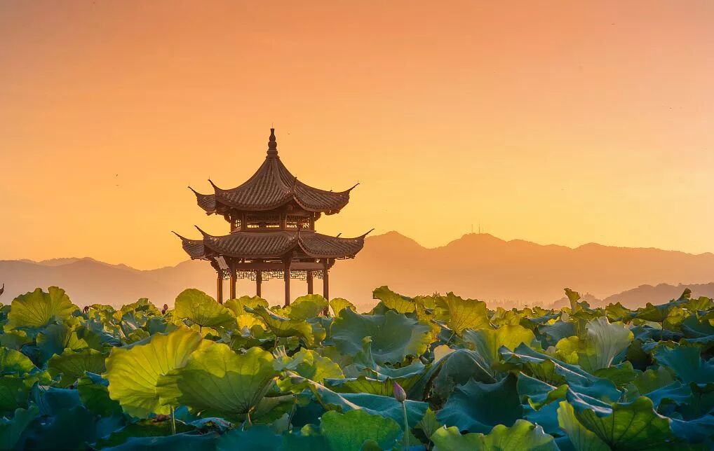 得到，未必是福；失去，未必是祸！