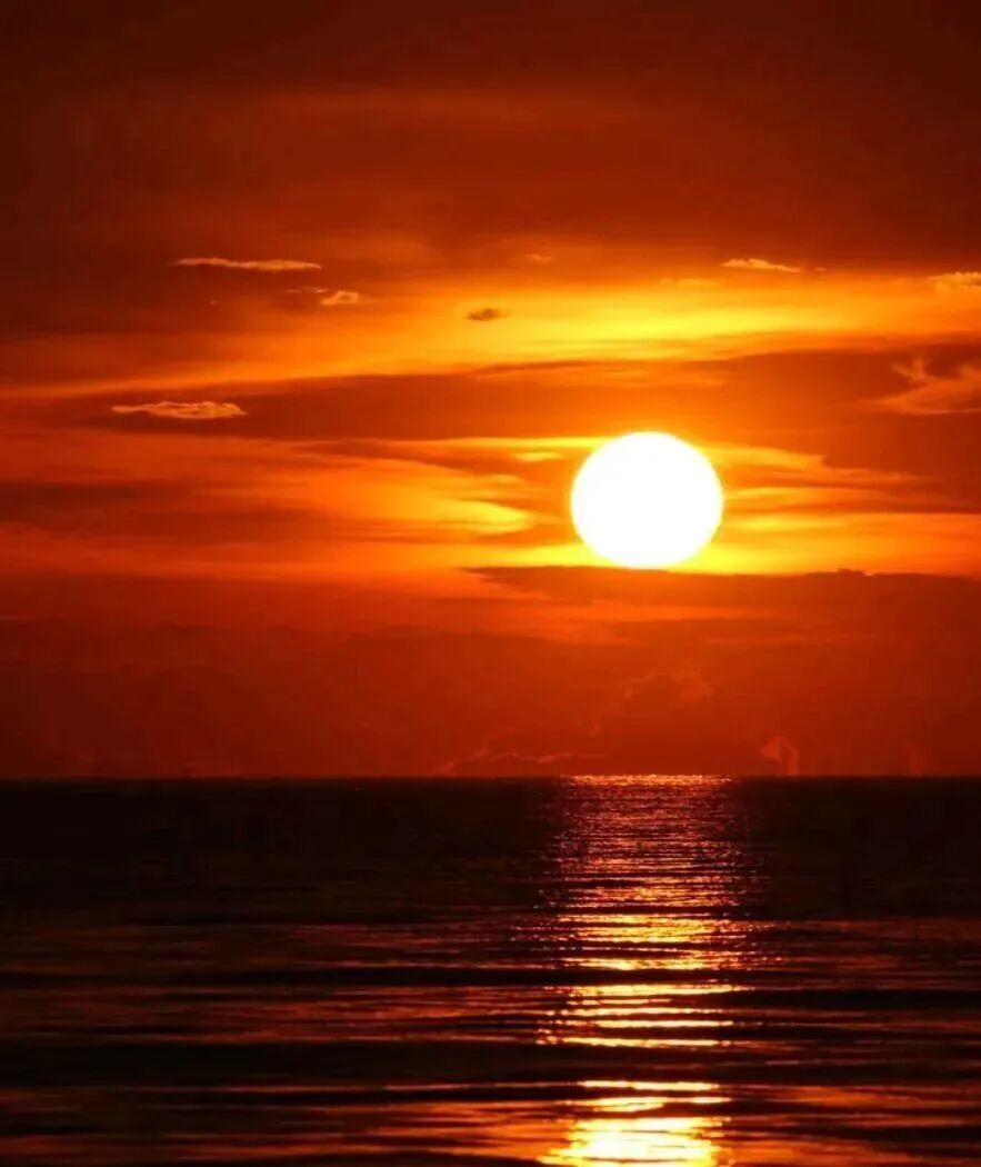 十天干所代表的意向