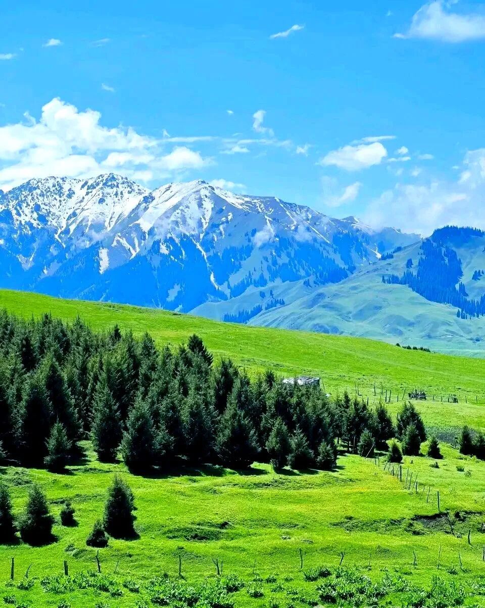 十天干所代表的意向