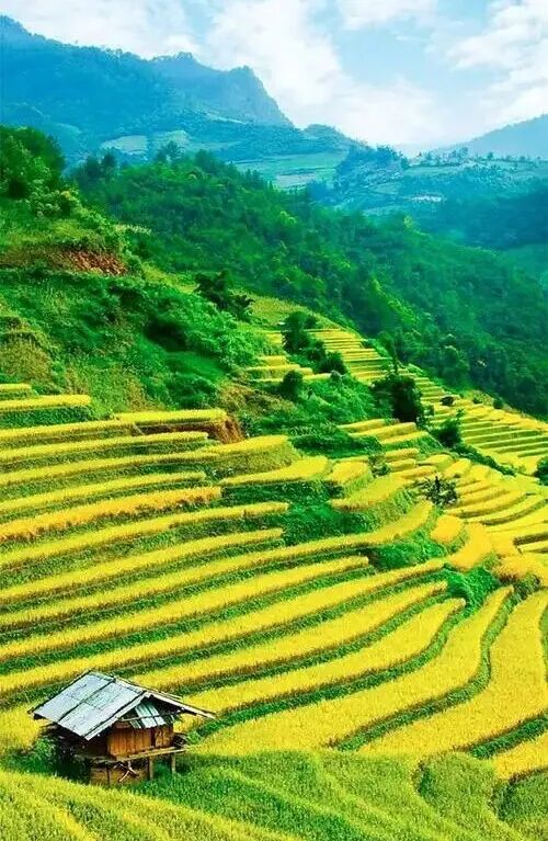 十天干所代表的意向