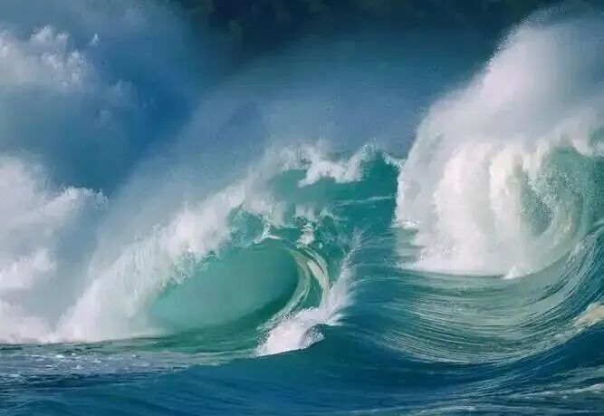 十天干所代表的意向