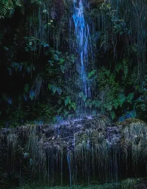 十天干所代表的意向