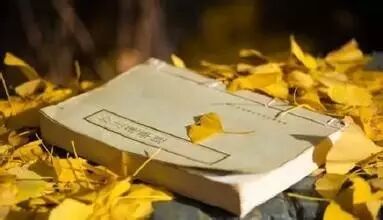 十大人生密码：解密“一命二运”的命运智慧