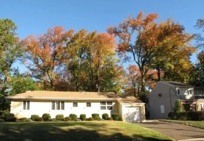 树木绕屋的风水禁忌：树大招阴，树高过丈即有煞，大树之下皆凶宅