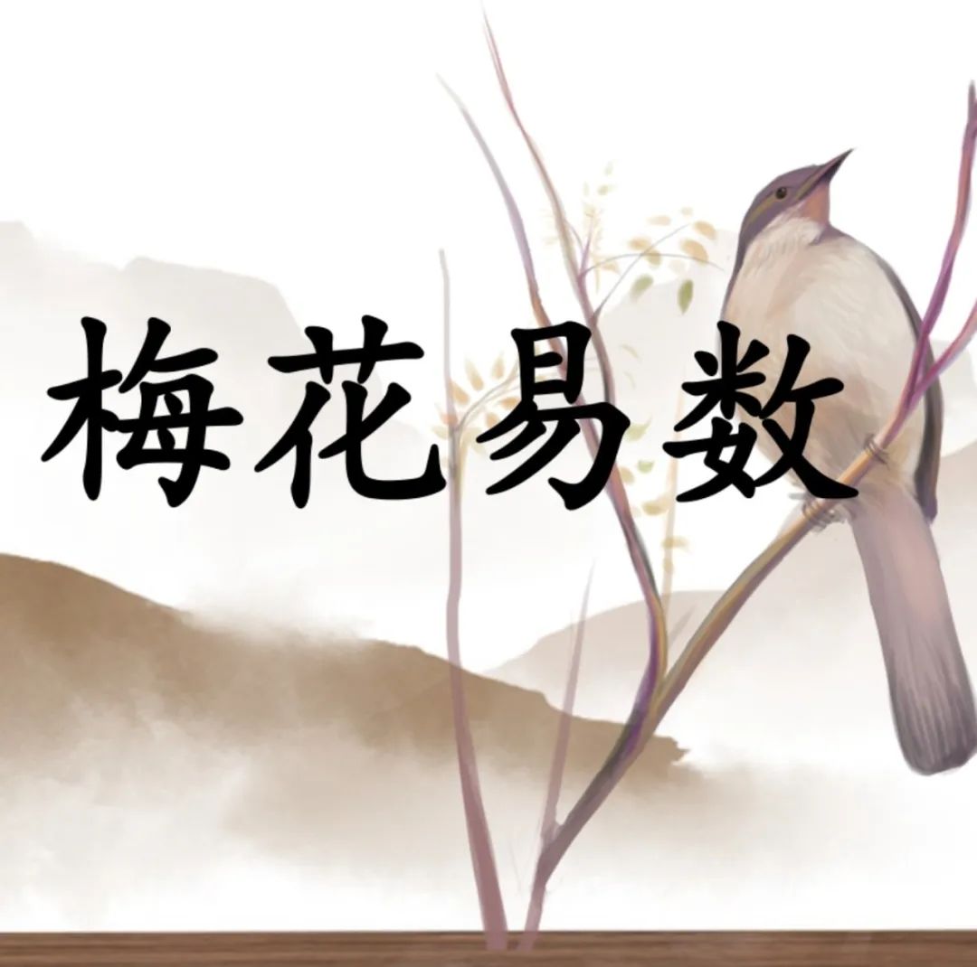 梅花易数：为何“易学”却“难精”？