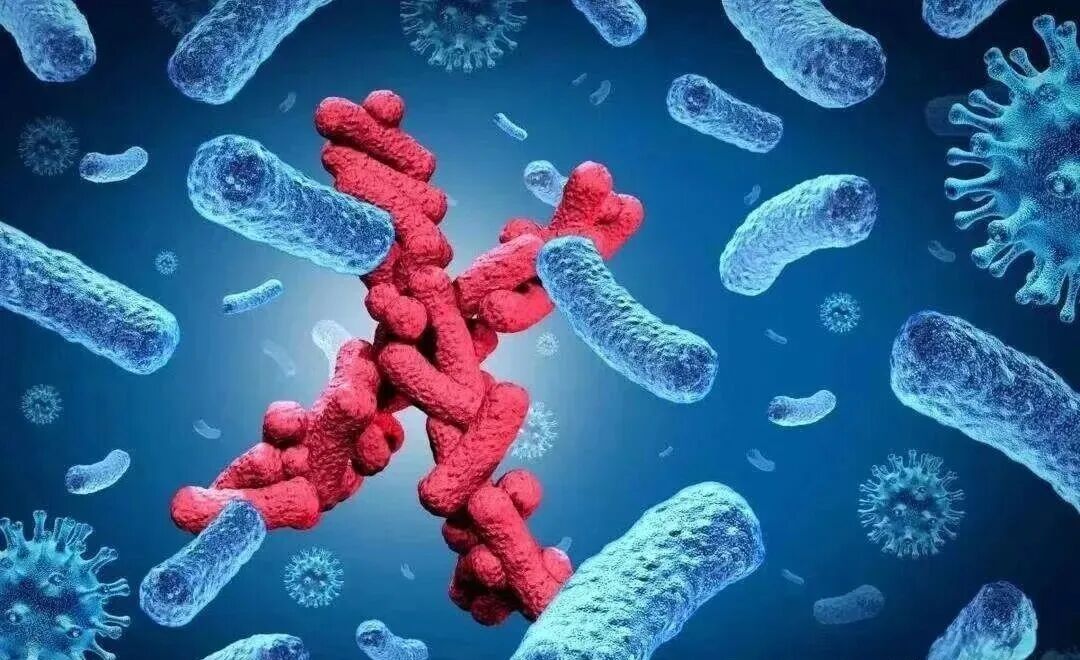 八字五行与健康隐患对应解析