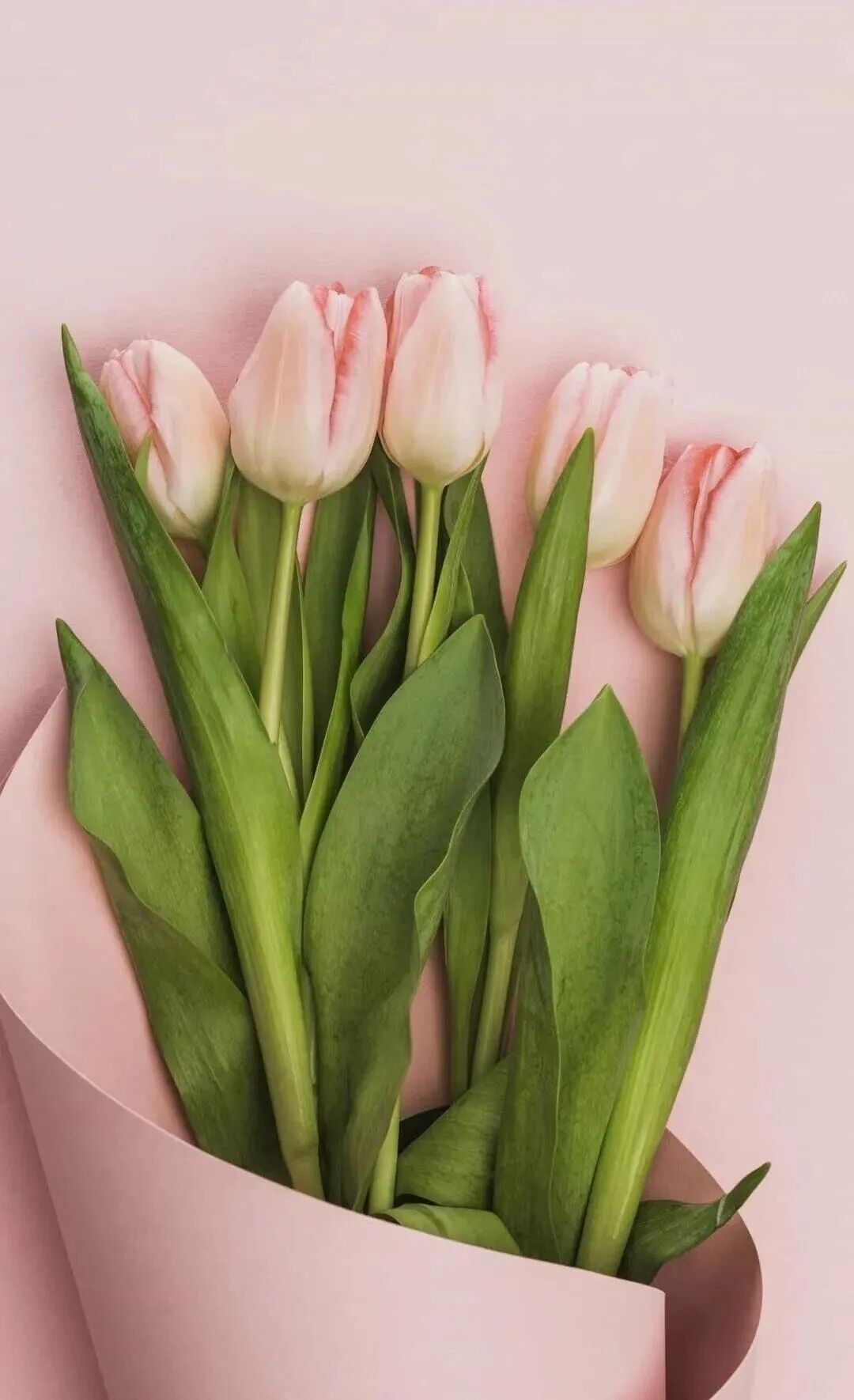 文章标题-2 【数字风水】生辰八字与手机号码是如何影响你的运势?