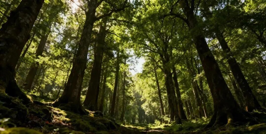 顺命知运，风水助行——传统命理的积极人生观