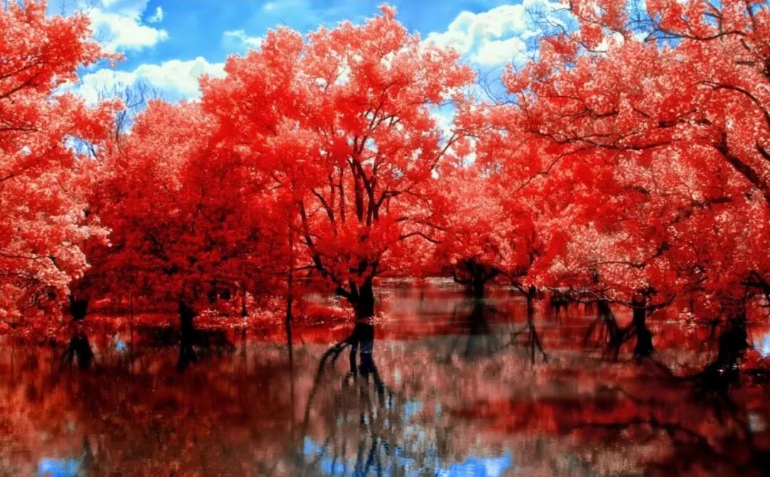 命里两样不由人：婚姻与生死之外的人生功课