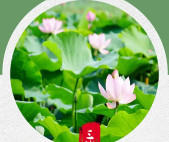 三伏天的成因,寓意,及习俗(关于三伏天的知识)