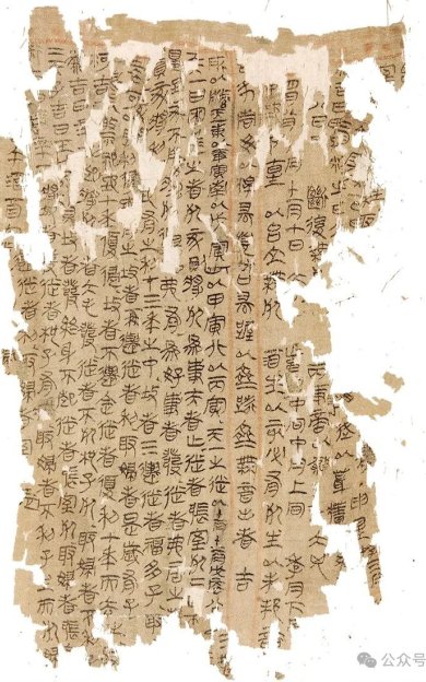 书在其形：出土简帛与先秦两汉“书”文化的初步观察