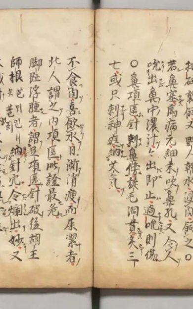 古代的一本罕见的养鹰奇书《新増鹰鹘方》