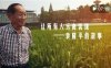 紫微斗数解读水稻之父袁隆平的非凡人生轨迹：以凡人之躯，行菩萨之道