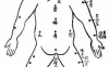 相学——隔衣观痣