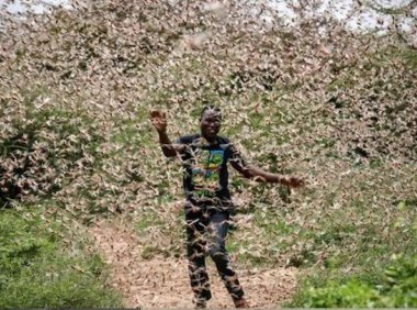 《天书奇谭》里漫天遍野的蝗虫如何被消灭