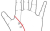 简单“手相学”，一分钟学会！