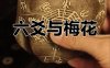 邵雍易学64卦速断实战精要：以六冲六合为纲，融六爻梅花之妙