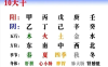 十天干基础知识核心知识点