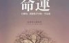 命局出现“伤官见官”时，如何区分是口舌是非还是官非诉讼