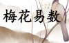 梅花易数：为何“易学”却“难精”？