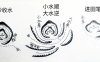丙辛化水格以申子辰为真化，若原局月支逢丑土湿泥混杂，大运顺行先遇未戌燥土再转亥子，如何通过“破用”与“得金相助”的理论判断其疾病与性情转折